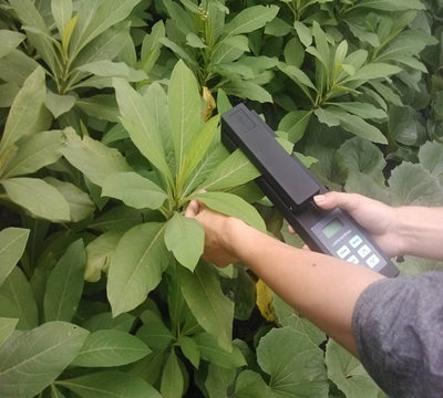 活體葉面積測(cè)量?jī)xLAM-B 活體葉面積測(cè)量?jī)xLAM-B