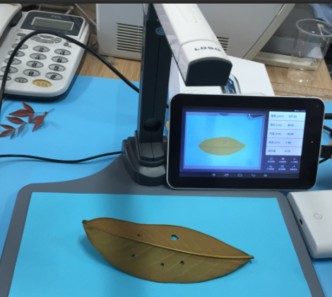 智能掃描式葉面積儀LAM-S 智能掃描式葉面積儀LAM-S