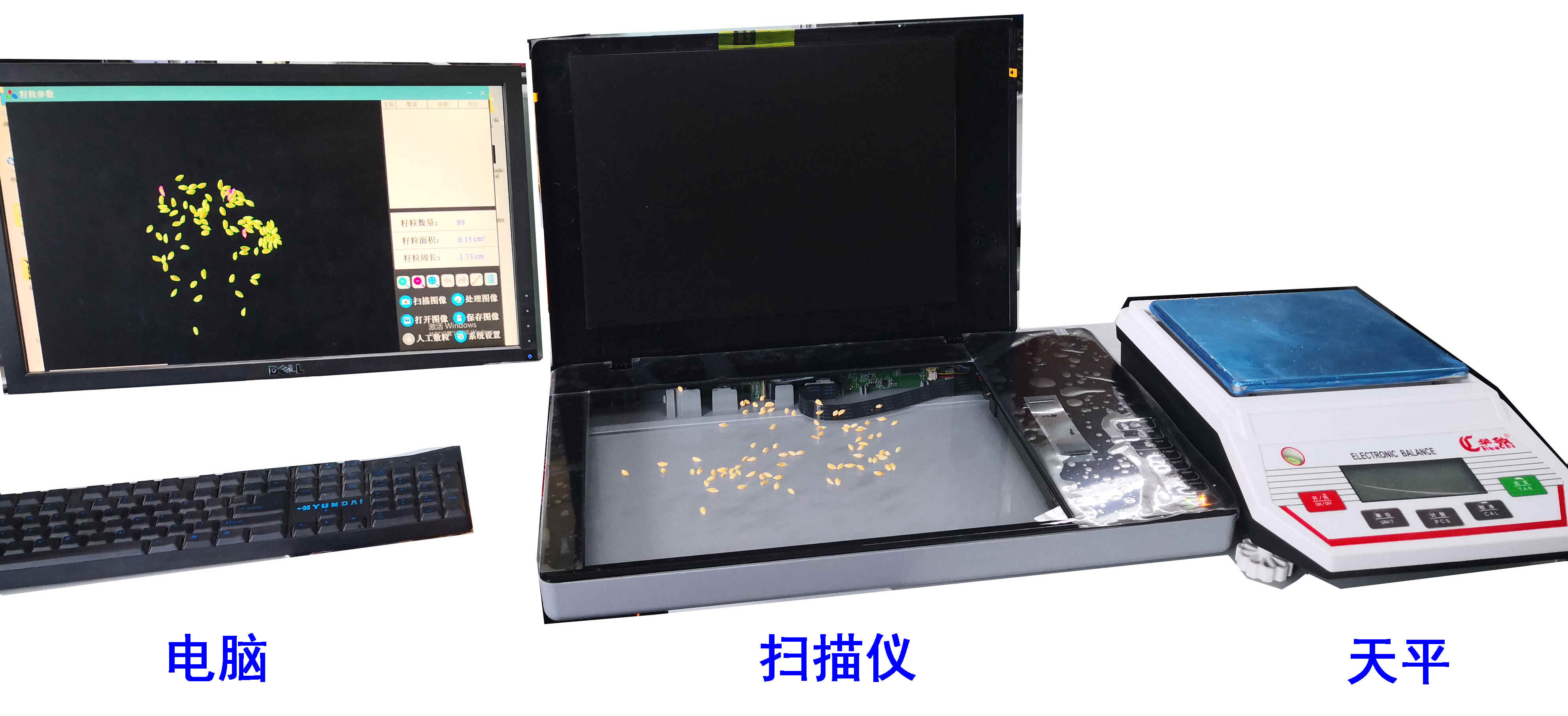 掃描式考種儀\千粒重儀\種子表型儀 掃描式考種儀\千粒重儀\種子表型儀